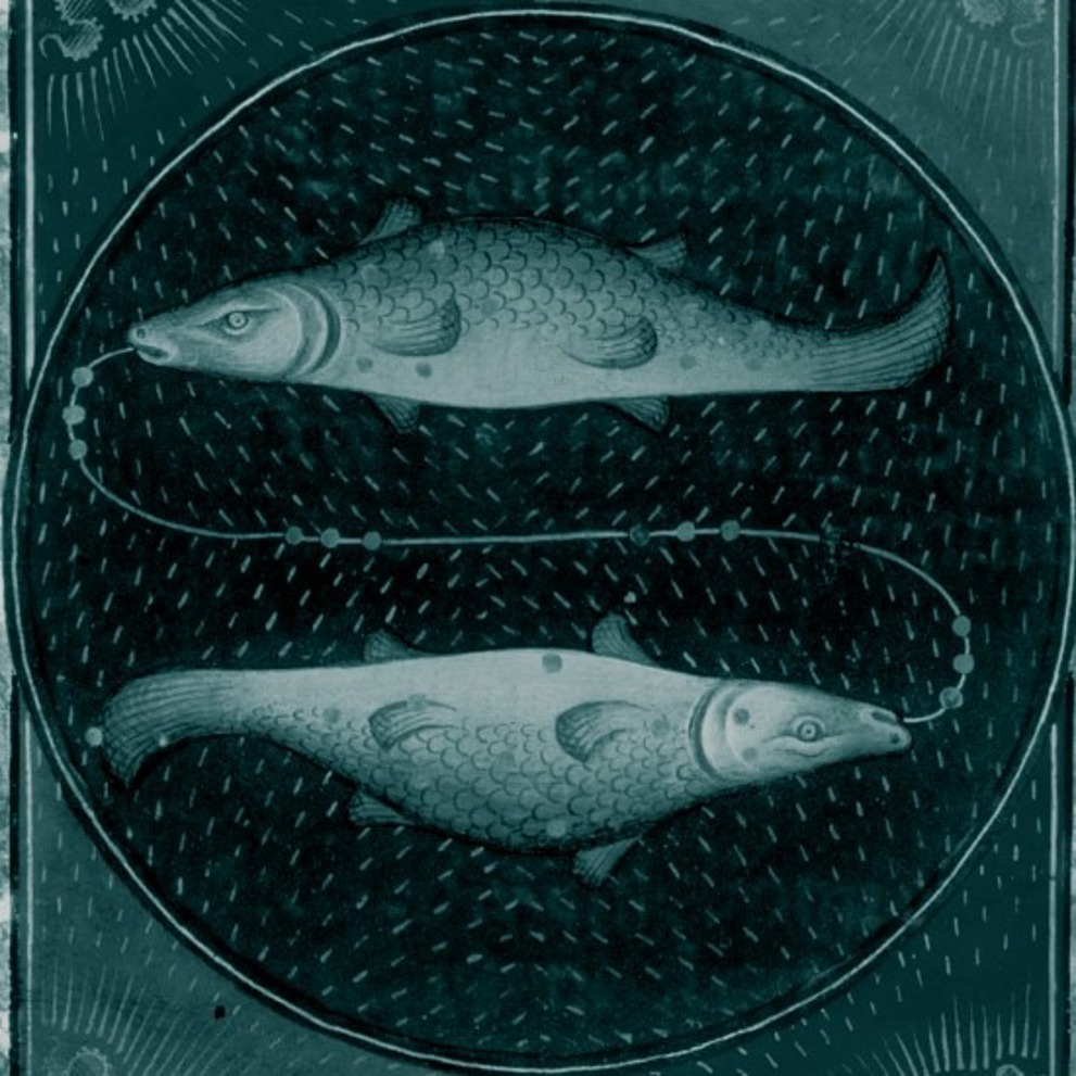 Whatsapp Image 2026 02 17 At 20.16.59