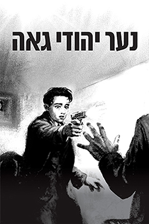 Poster Image Small 239X360 נער יהודי גאה (1)
