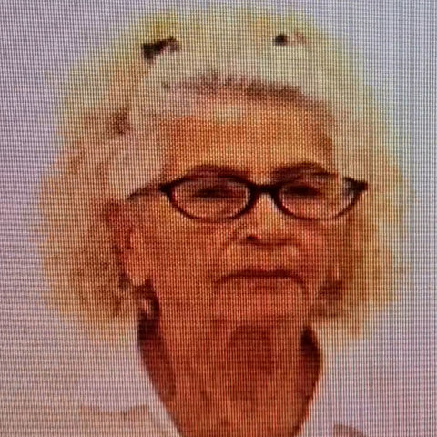 השוטרים הופתעו: איך סבתא לחמישה נכדים הפכה לסוחרת סמים?