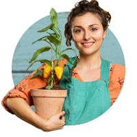 הגינה של תמרי