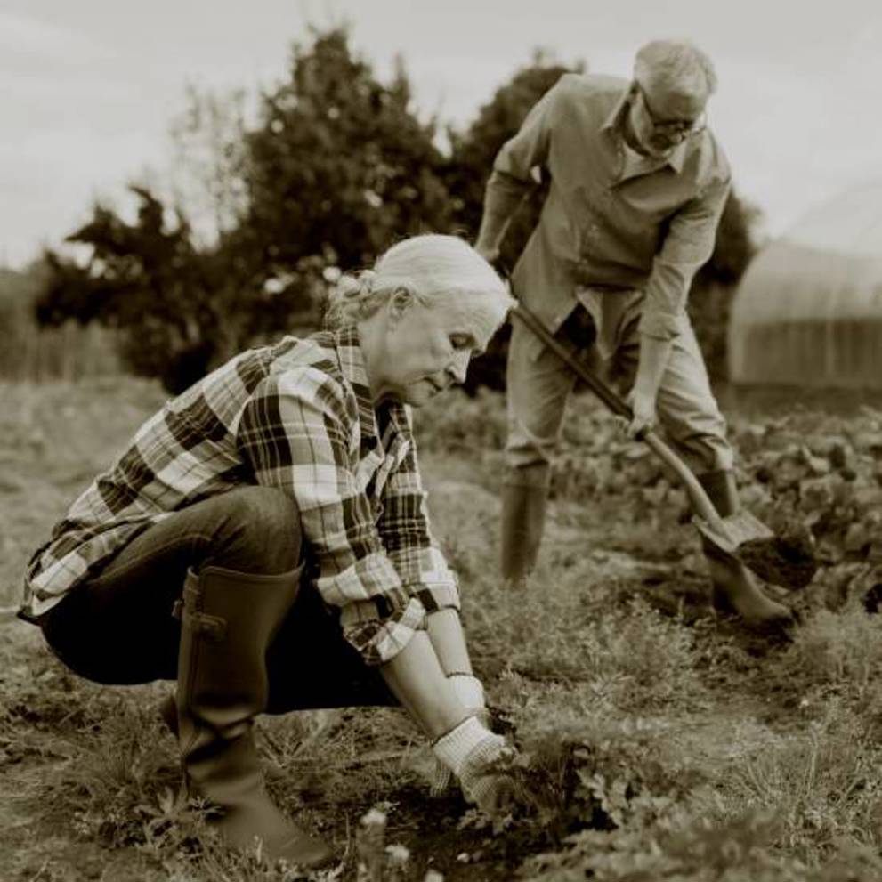 Square 500X500 (974)