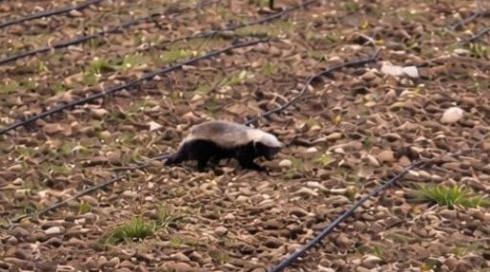 Whatsapp Image 2026 02 11 At 20.56.20