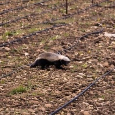 Whatsapp Image 2026 02 11 At 20.56.20