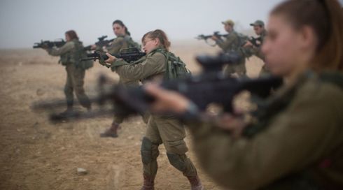 לוחמות גדוד ברדלס, ארכיון