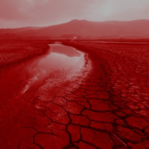 בצורת ריבוע