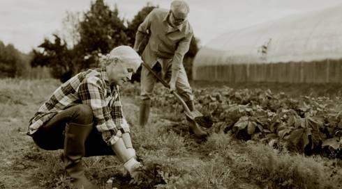 זוג מבוגרים עובדים בגינה
