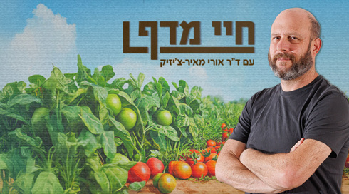 חיי מדף תמונת שיתוף