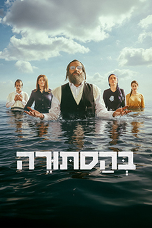 Poster Image Small 239X360 בהסתורה