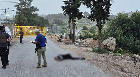 זירת ניסיון הפיגוע בנגוהות