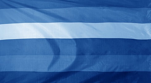 Flagribua
