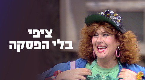 ציפי שביט 1990